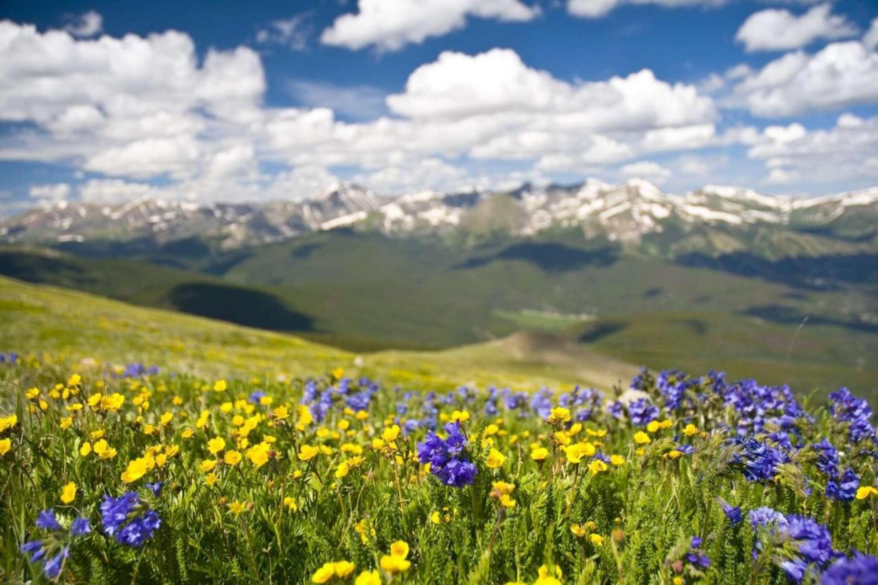 Longbranch Villa Breckenridge Luaran gambar